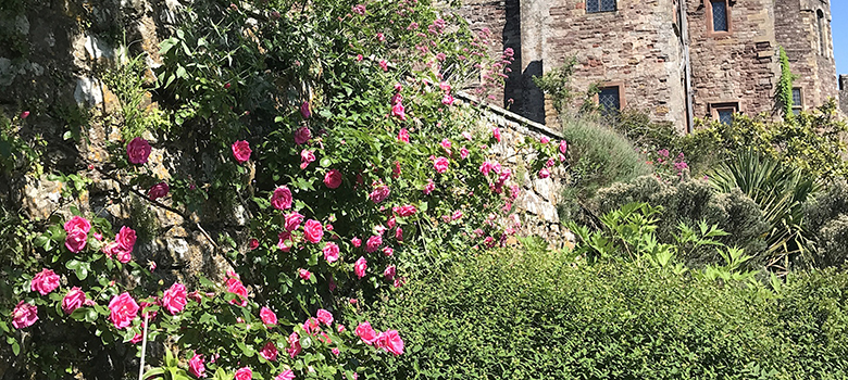 A well-stocked border against the castle walls.