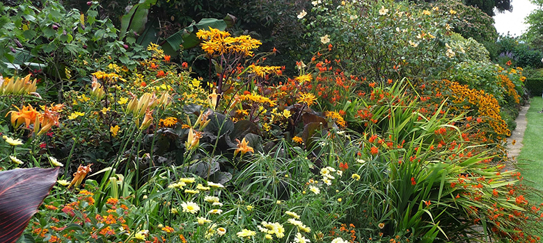 A well-stocked bed with a broad range of plants and shrubs.