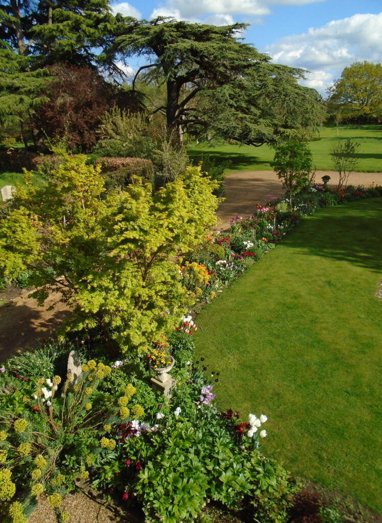 A beautiful and well-stocked border leading to a large Cedar tree.