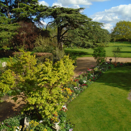 Cedar House Gardens & Arboretum Tour – 22nd Oct 2024