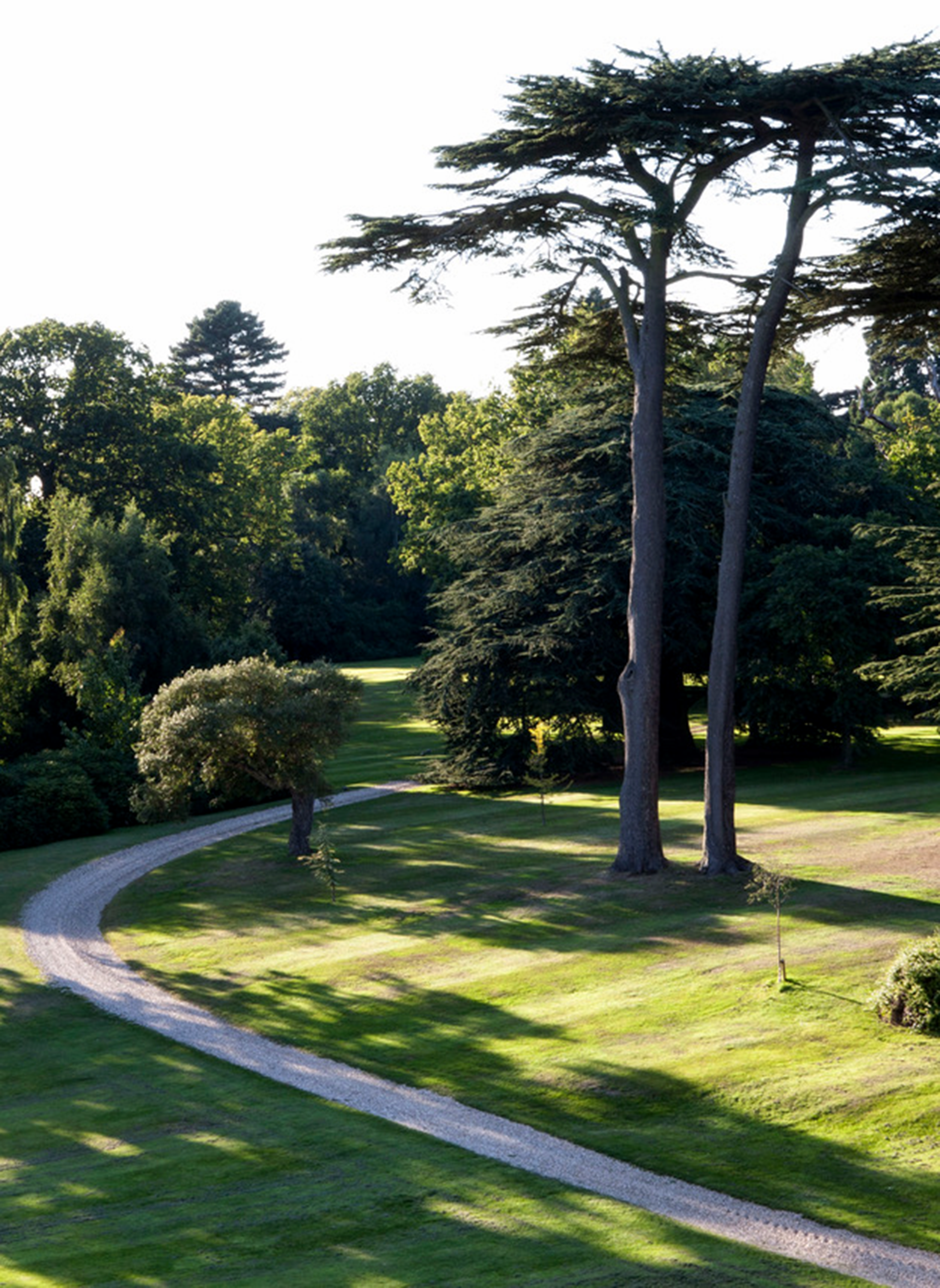 A view across Packington Hall Gardens.