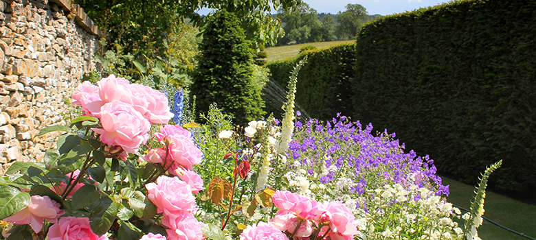 A view of a walled garden border full of colourful plants and flowers, leading the eye down the garden.