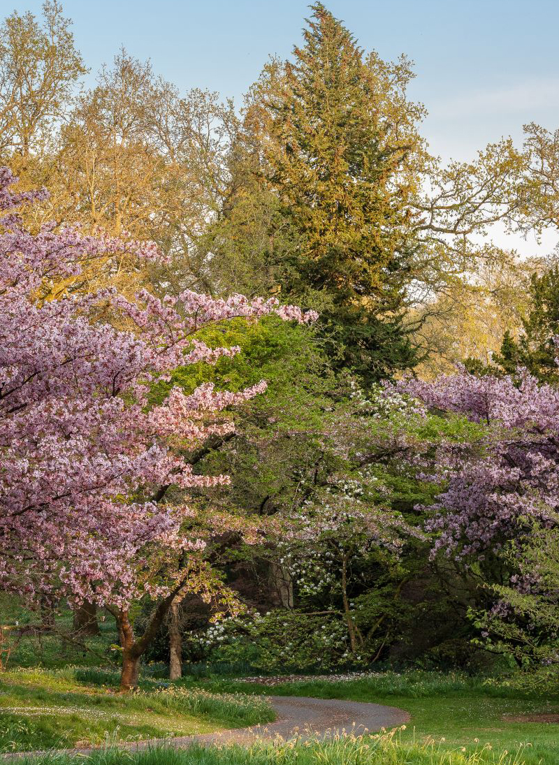 The beautiful Berkeley Castle gardens in the foreground with the castle in the background.le